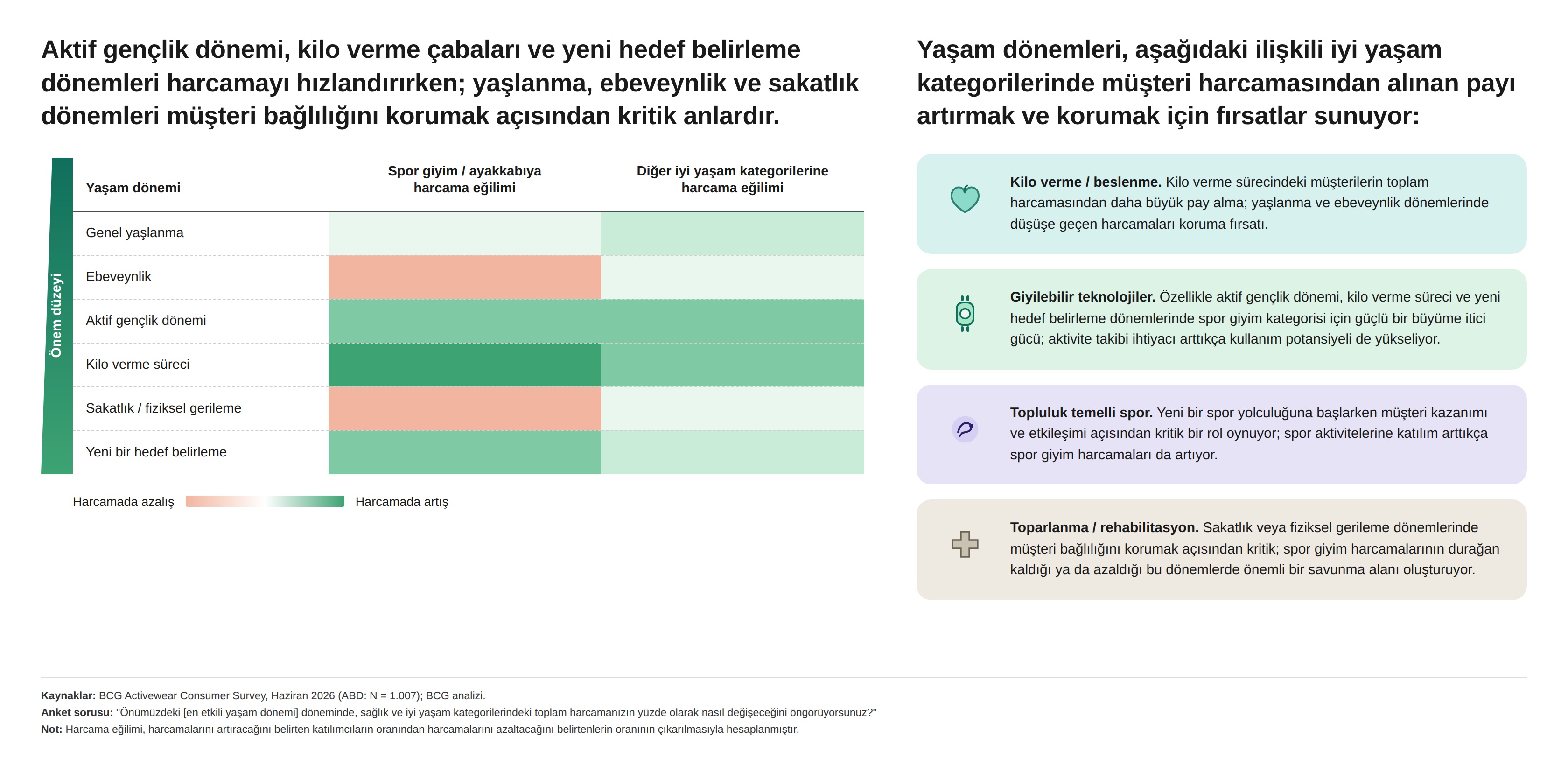 BCG Yeni Raporu